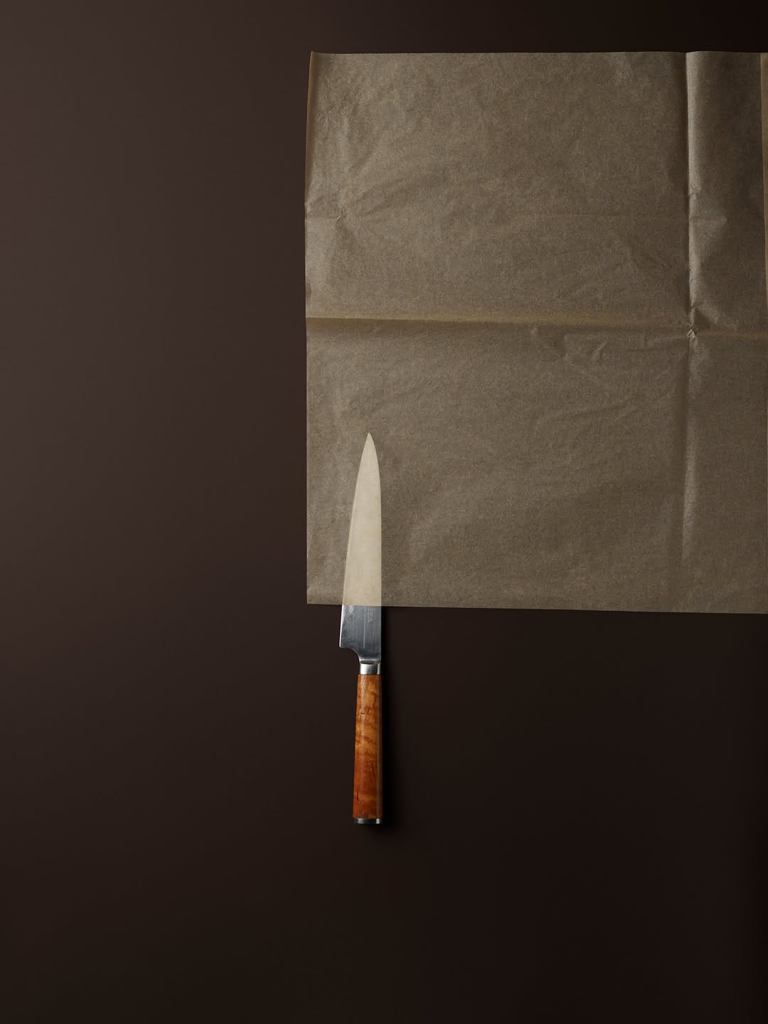 Philippe Lacombe X Emergence Magazine