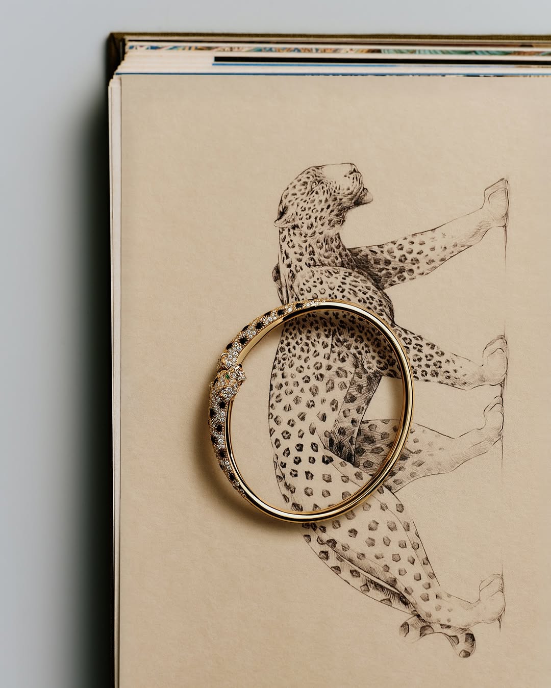 <a href="/sara-zanoni">Sara Zanoni</a> X Cartier <span style="text-transform: none; white-space: nowrap;">Apr. 26</span>