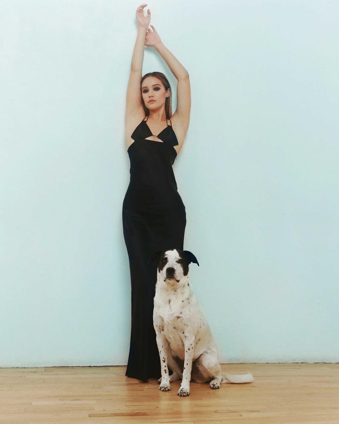 Rollacoaster Magazine |  Dec. 22