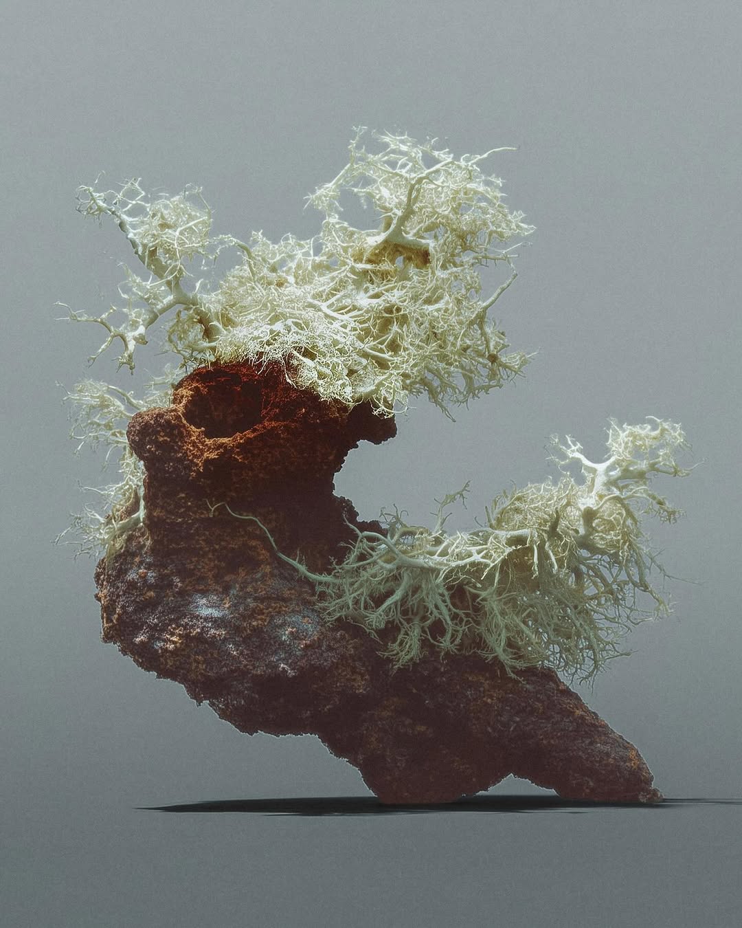 Studio AISTORIA Dec. 25