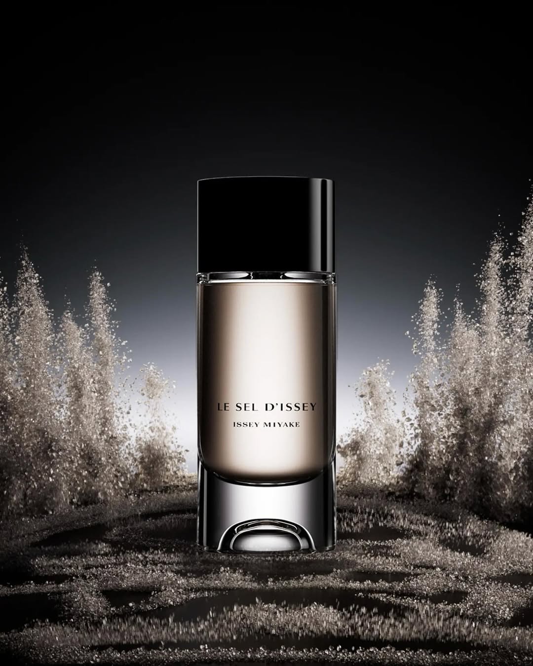 MONDAY REPORT SE 02/16/26