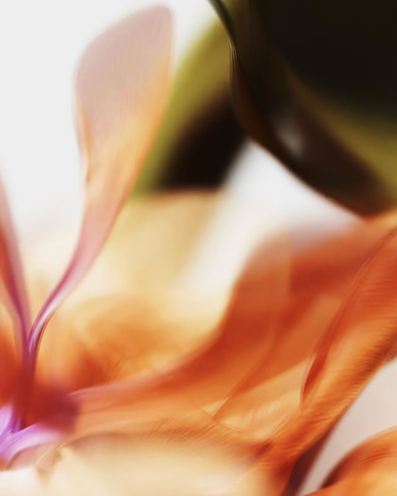 <a href="/caroline-vang">Caroline Vang</a> <span style="text-transform: none; white-space: nowrap;">May. 26</span>