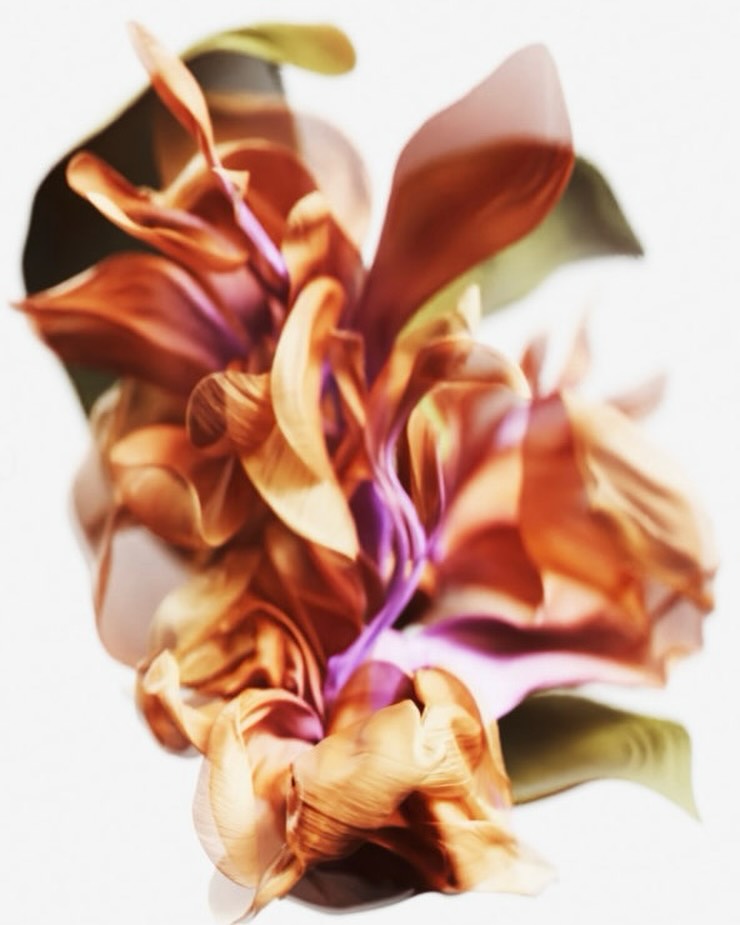 <a href="/caroline-vang">Caroline Vang</a> <span style="text-transform: none; white-space: nowrap;">May. 26</span>