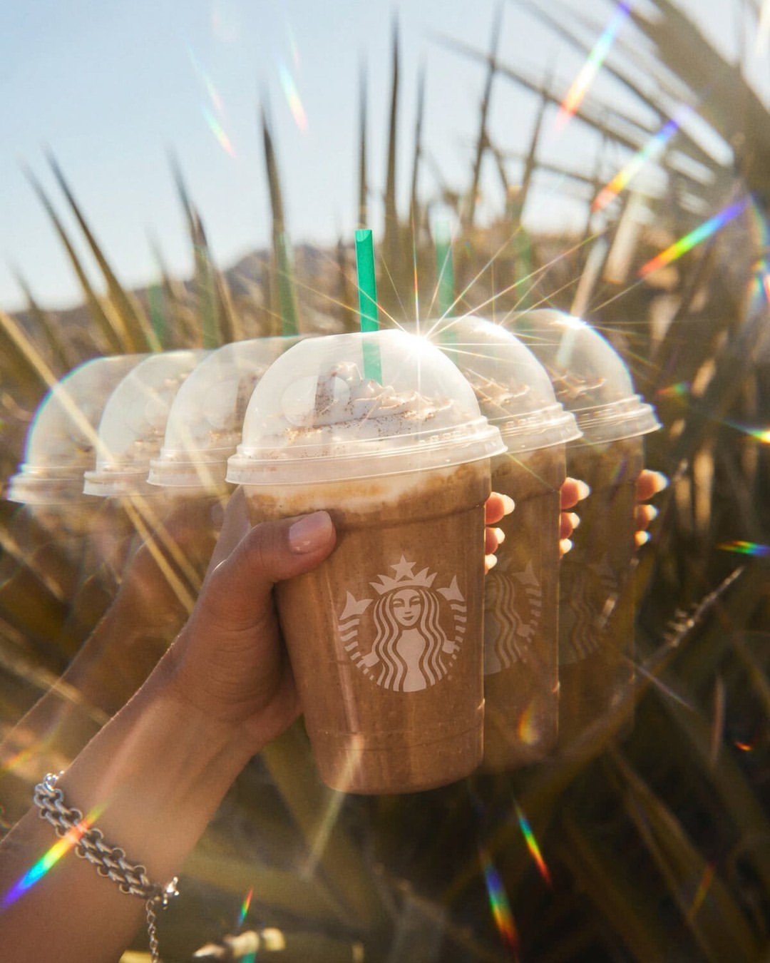 Anisha Sisodia X Starbucks