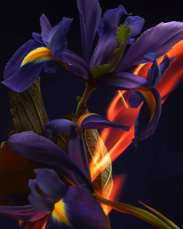 FÉTICHE @christianlouboutinbeauty 