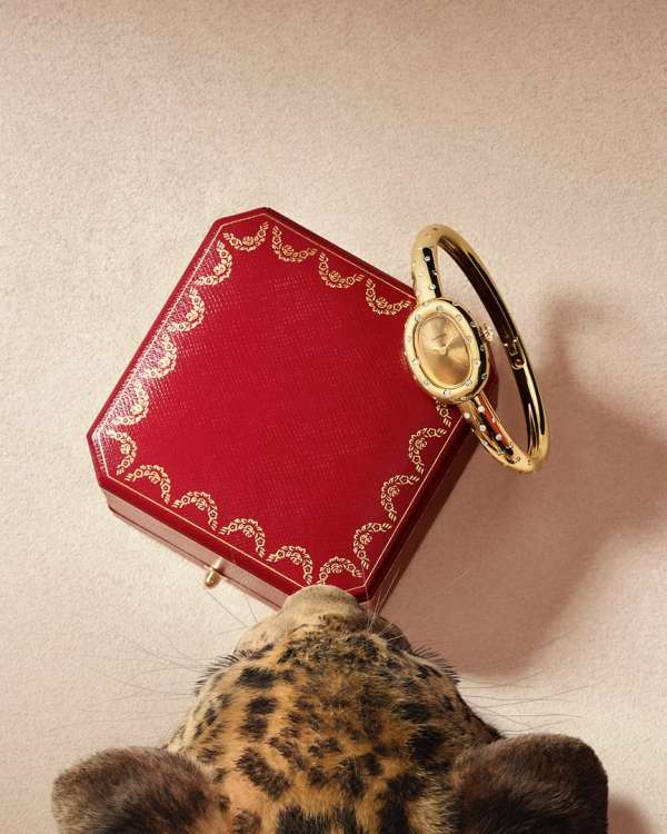 pour @Cartier - @mazarinegroup 