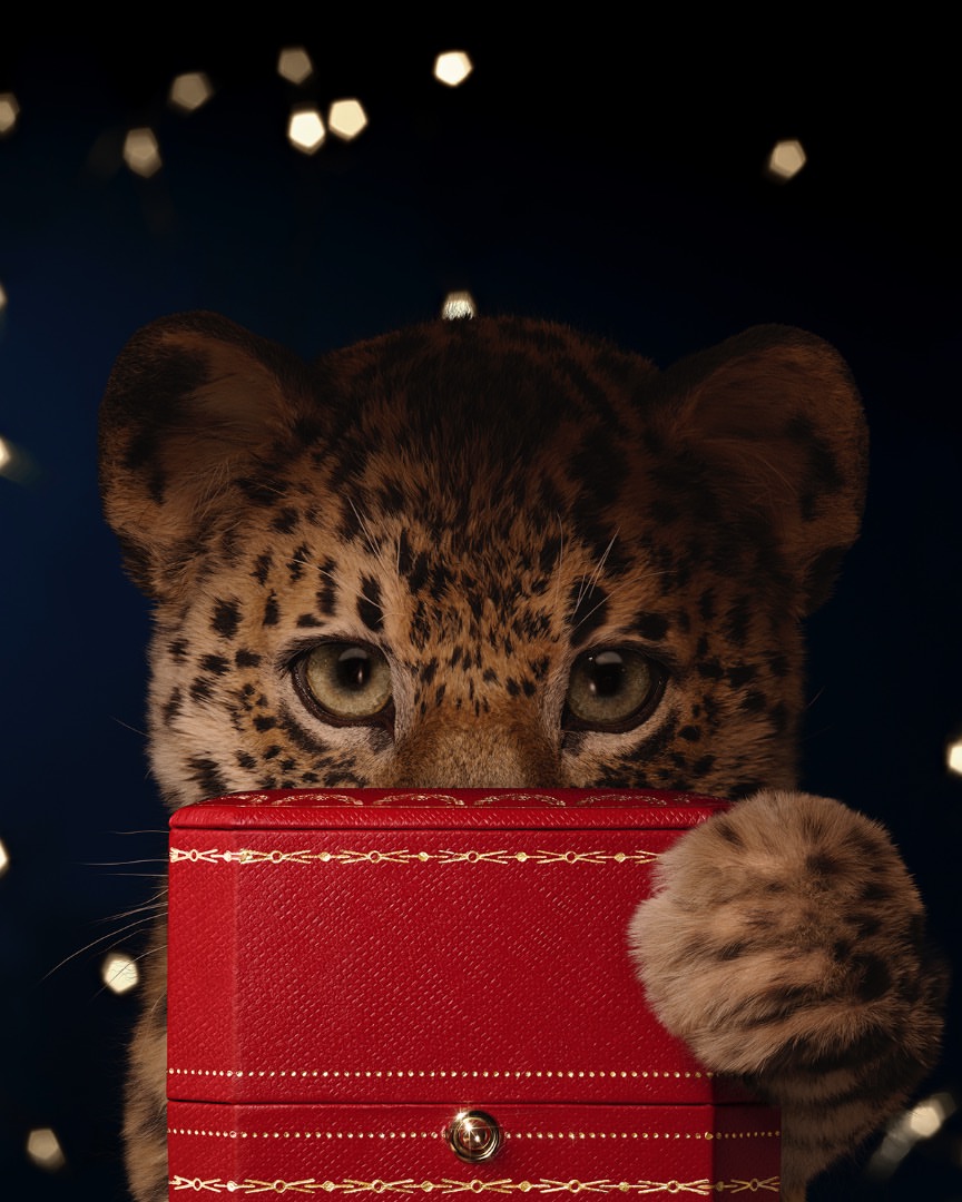 pour @Cartier - @mazarinegroup 
Photographe — @maudremylonvis 

#CartierMagicalNight 
#CartierCelebrates