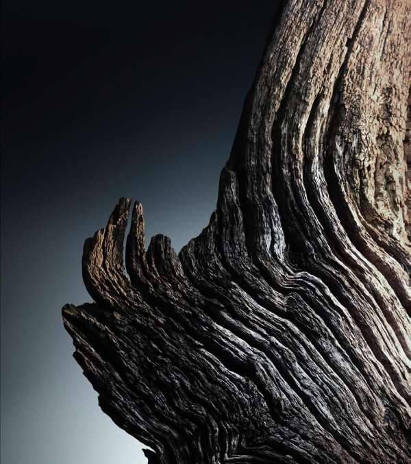 pour @rabanne (@puig_official)