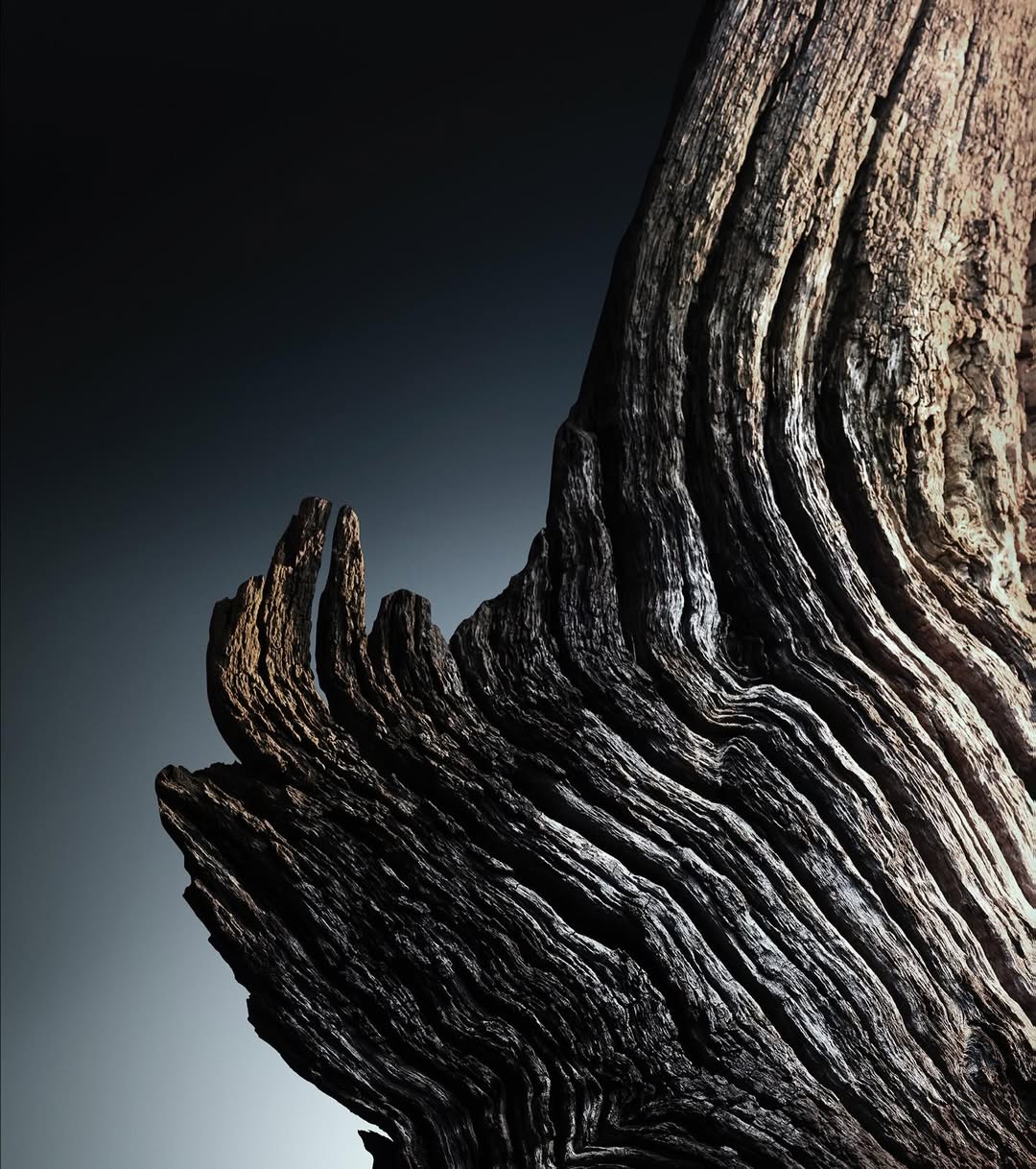 pour @rabanne (@puig_official)