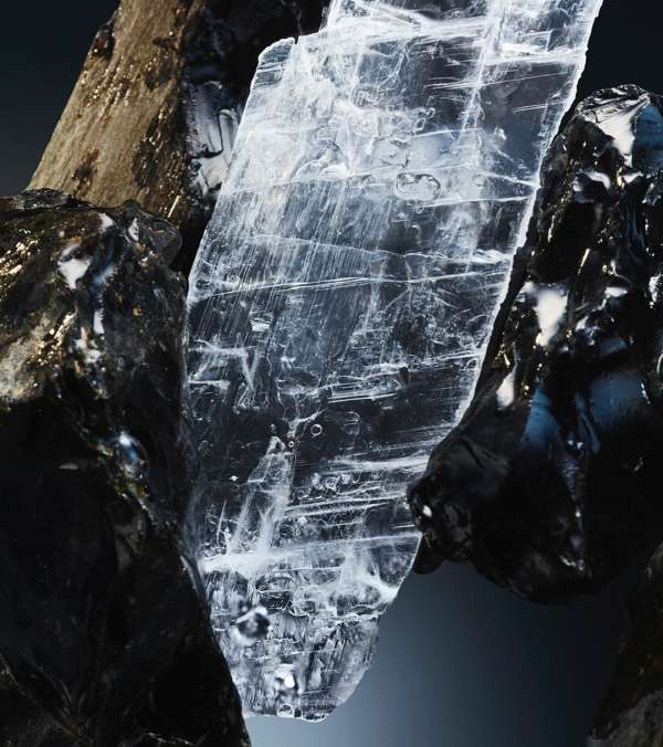 pour @rabanne (@puig_official)