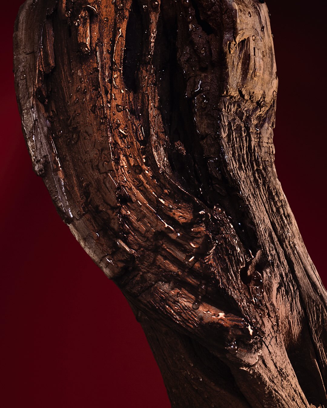 pour @rabanne (@puig_official)