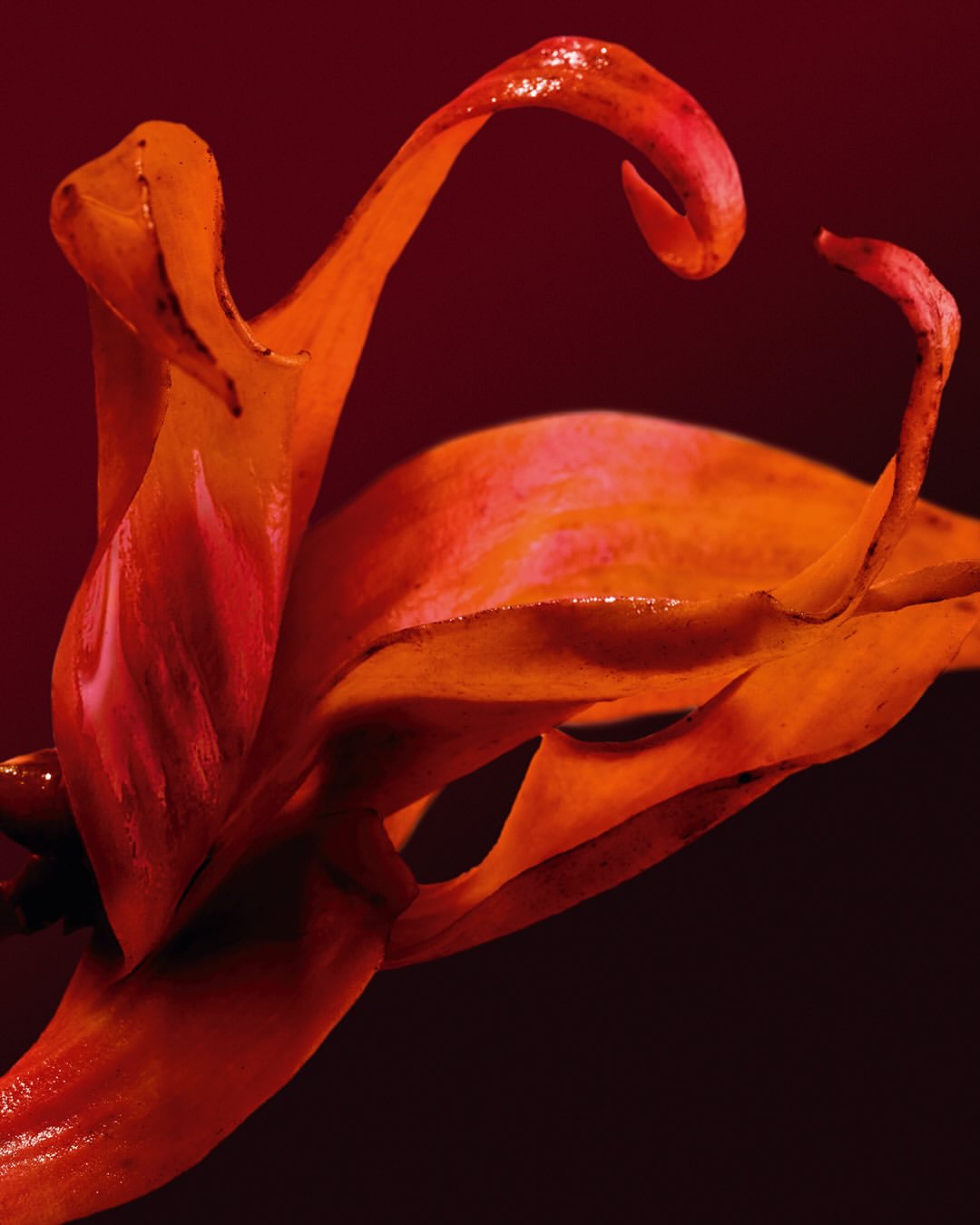 pour @rabanne (@puig_official)