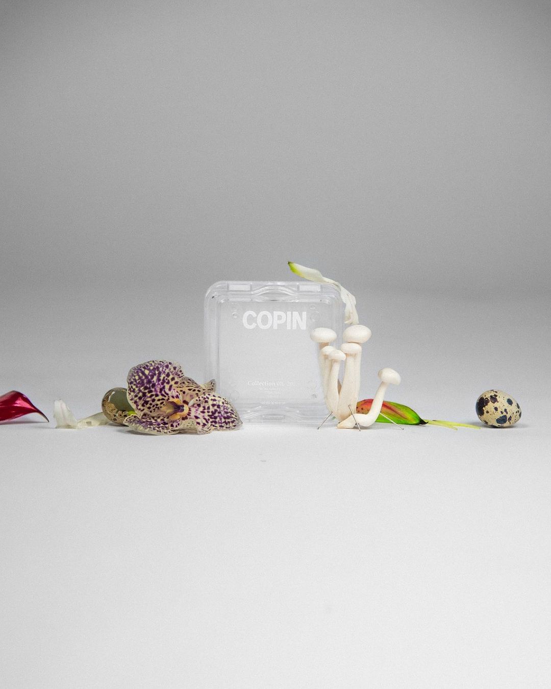 COPIN |  Jan. 23