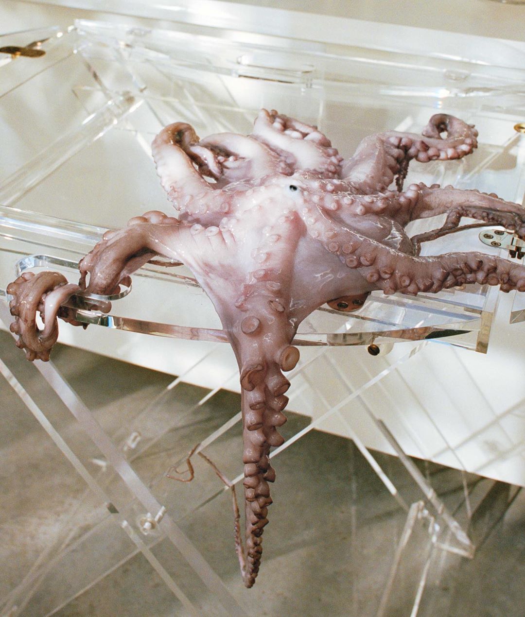 Cloakroom |  Nov. 19