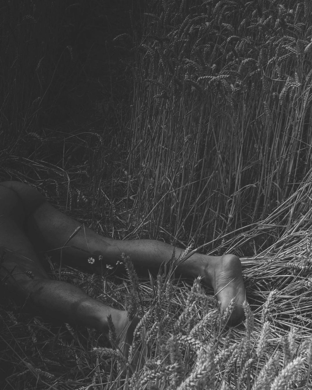 frieze magazine |  May. 20