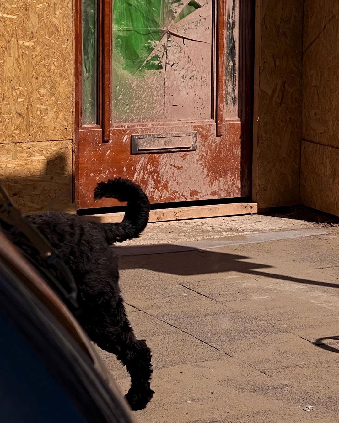 The New York Times |  Jun. 21