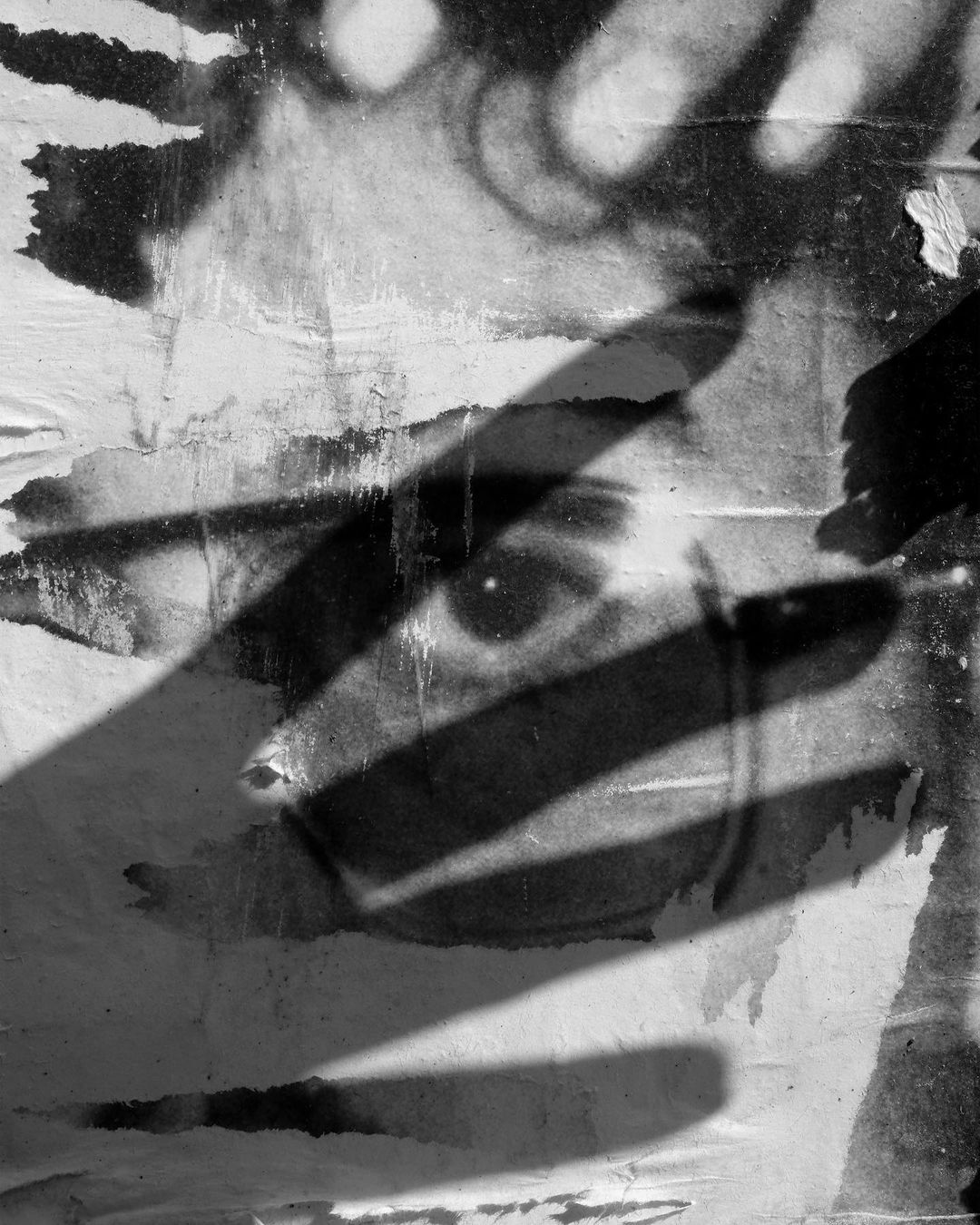 The New York Times |  Jun. 21