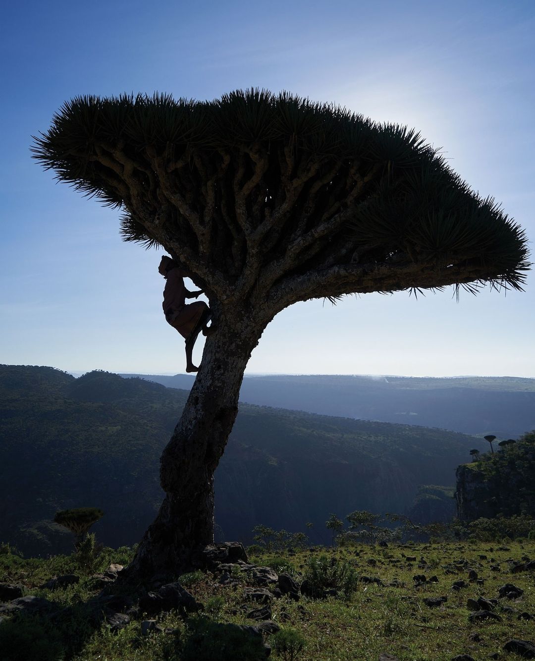 WSJ. Magazine |  Oct. 22