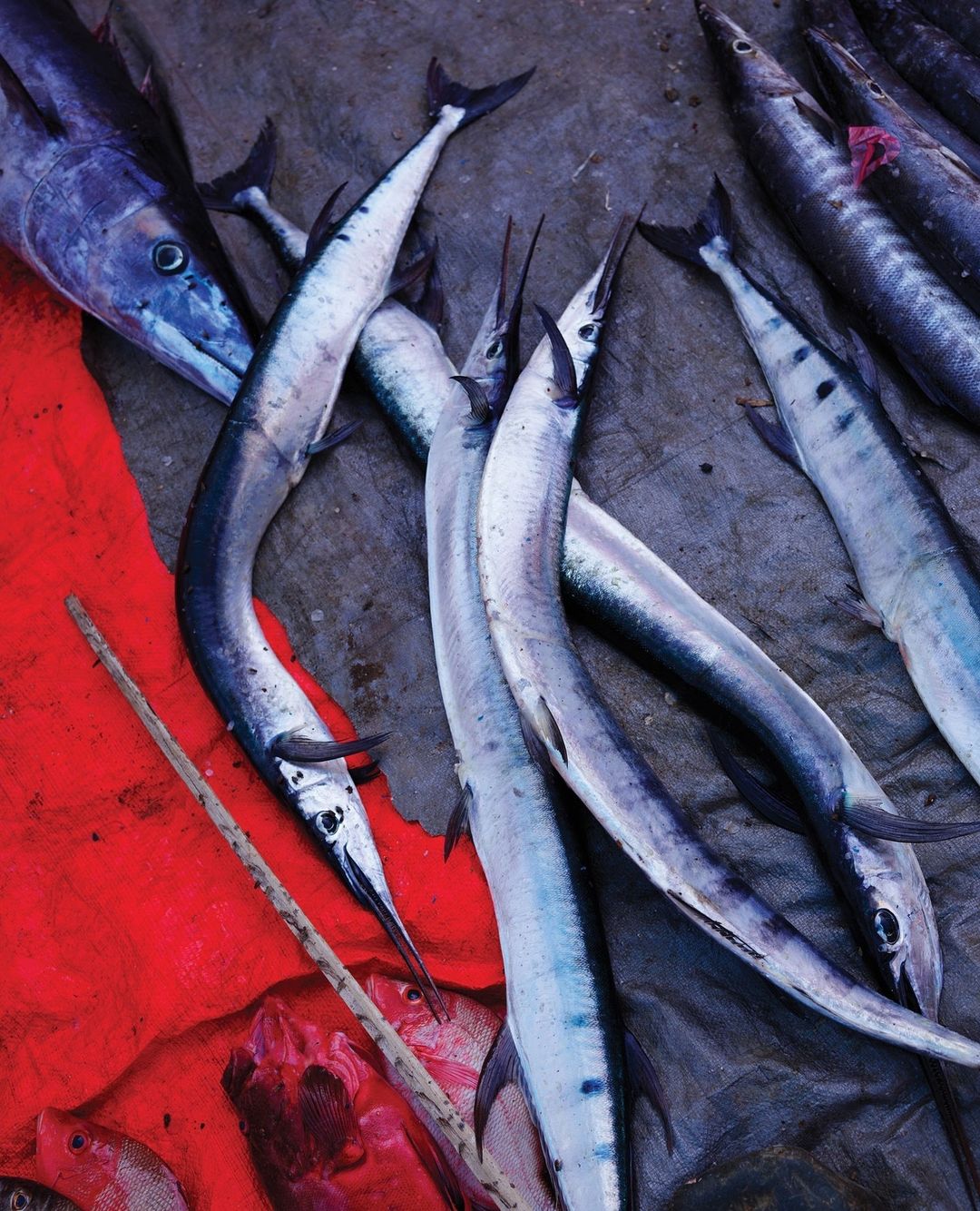 WSJ. Magazine |  Oct. 22