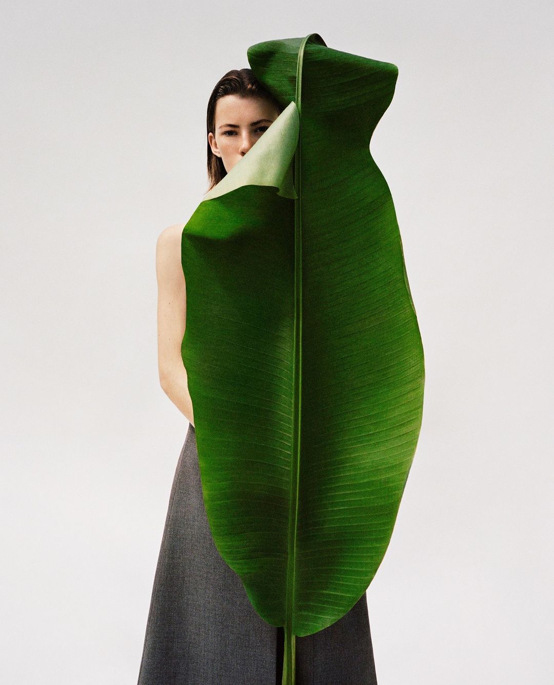 Document Journal |  Nov. 23