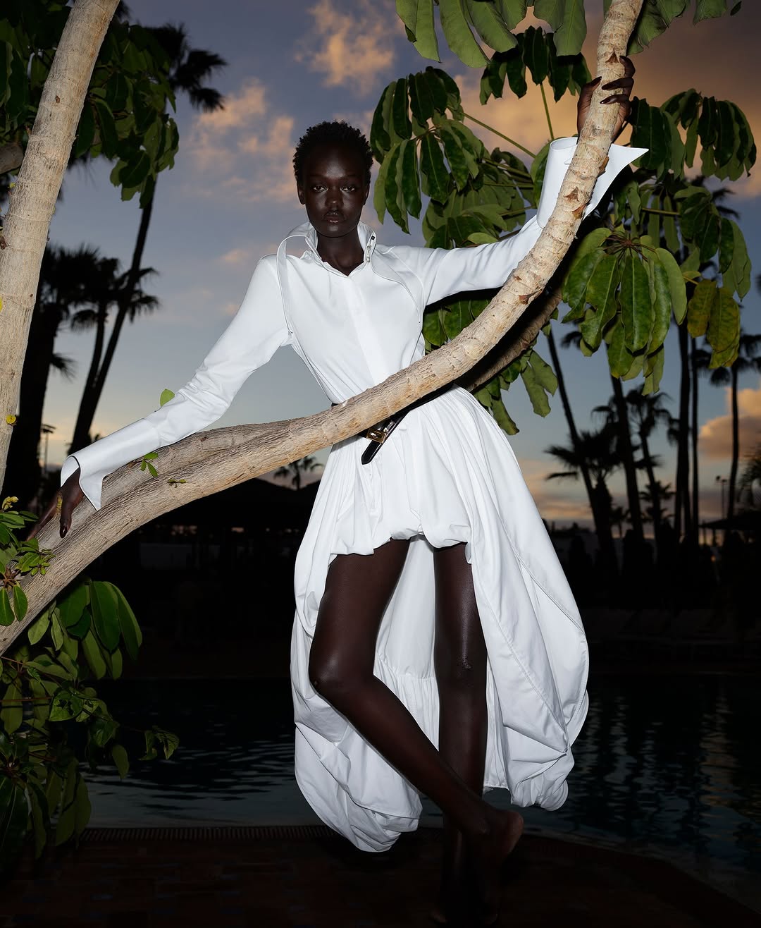 <a href="/viviane-sassen">Viviane Sassen</a> X Harper’s Bazaar US <span style="text-transform: none; white-space: nowrap;">Apr. 26</span>