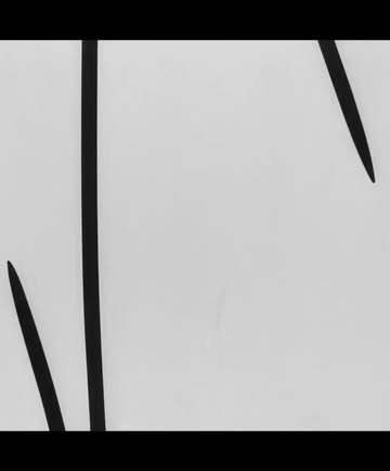 Now on view @metmuseum - Man Ray: When Obje...