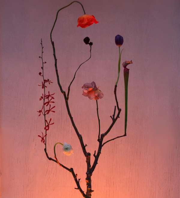 The art of stillness and imagination with @...