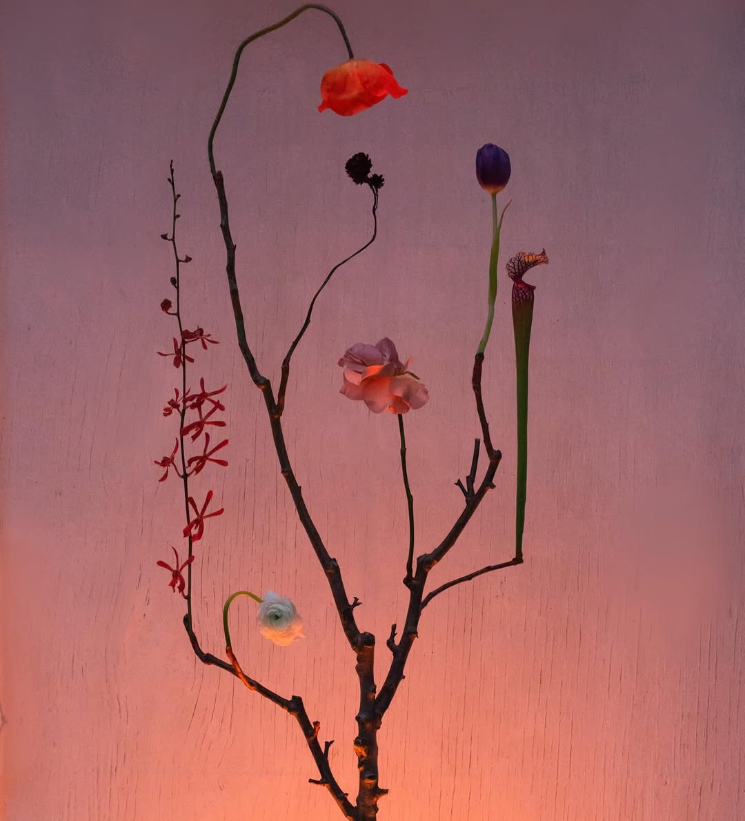 The art of stillness and imagination with @bonjourlatour