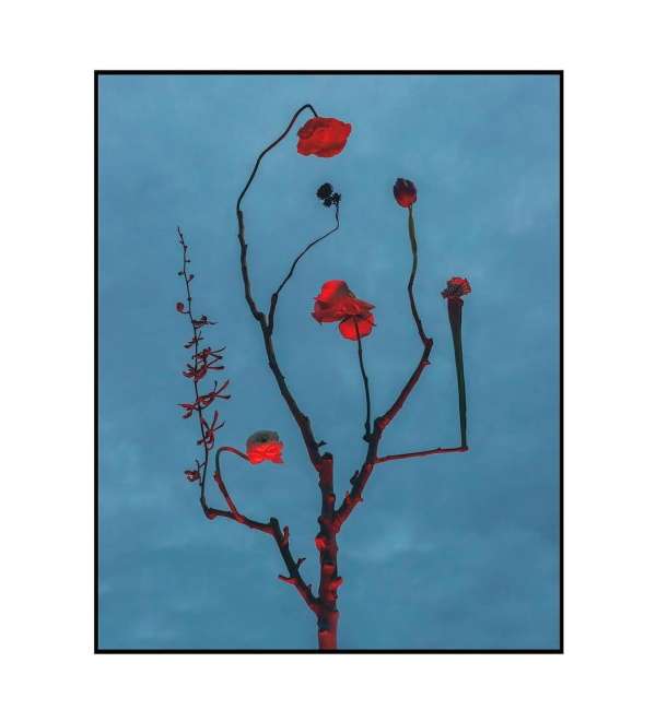 The art of stillness and imagination with @...