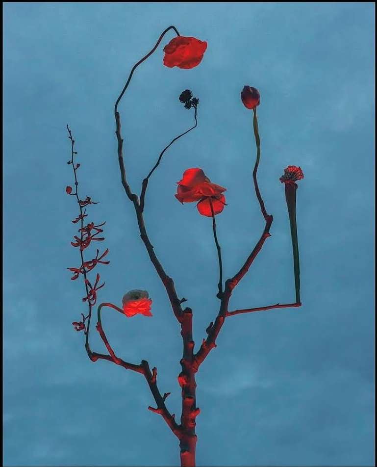 The art of stillness and imagination with @bonjourlatour