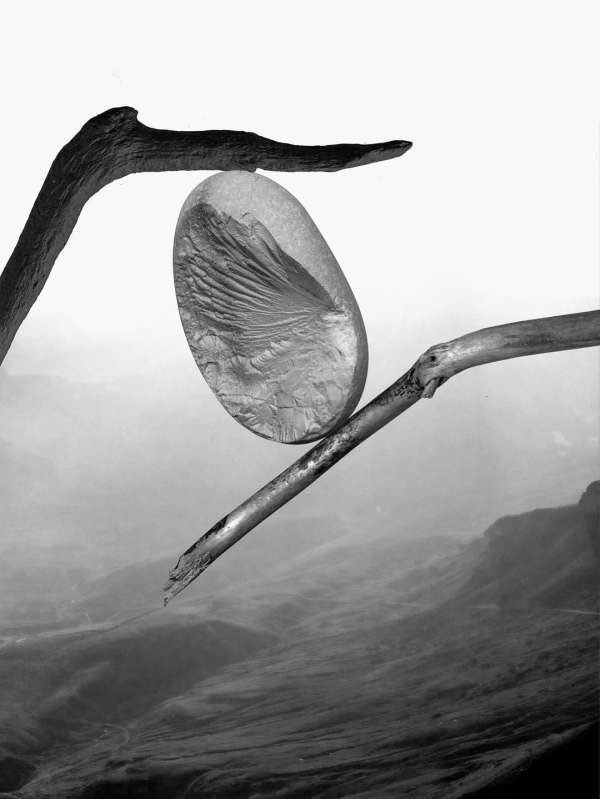 Merging precision with poetic restraint, @o...