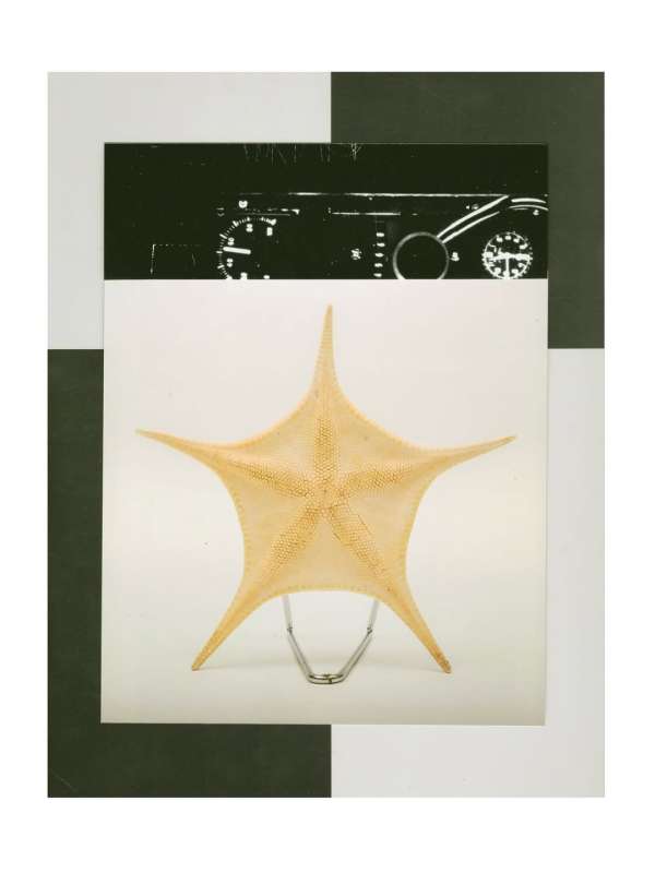 @olivia.wunsche – “Field Notes from Altered...