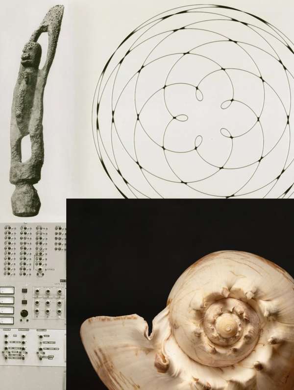 @olivia.wunsche – “Field Notes from Altered...