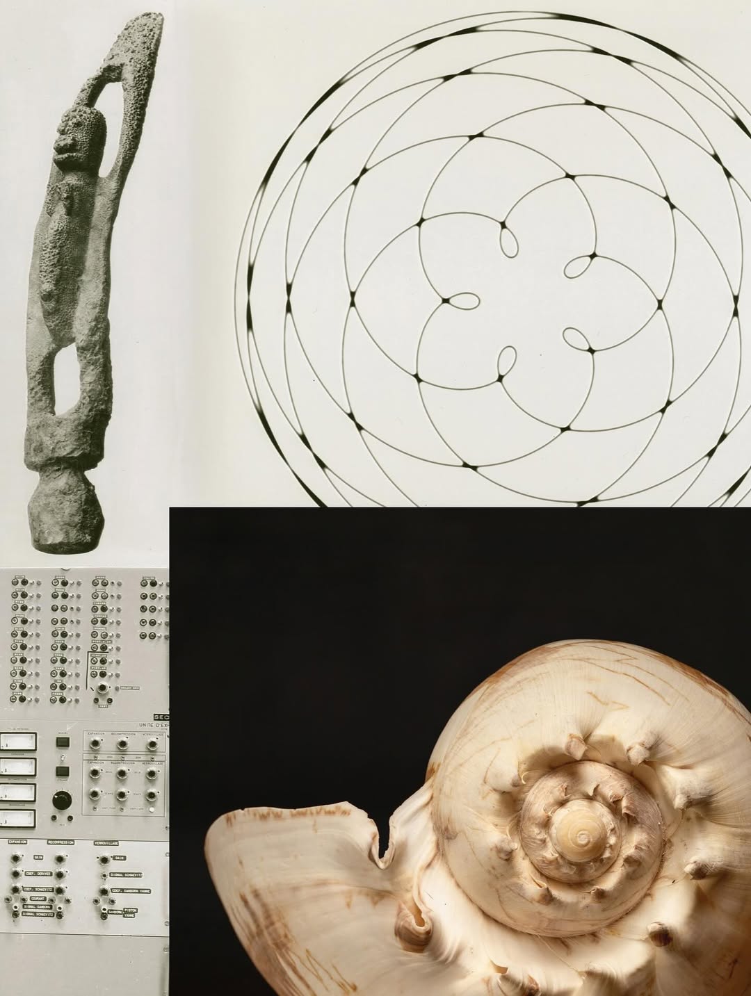 @olivia.wunsche – “Field Notes from Altered Realities” x @acidsurfing