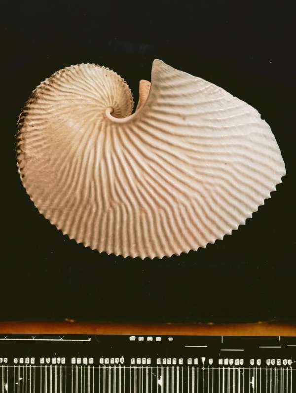 @olivia.wunsche – “Field Notes from Altered...