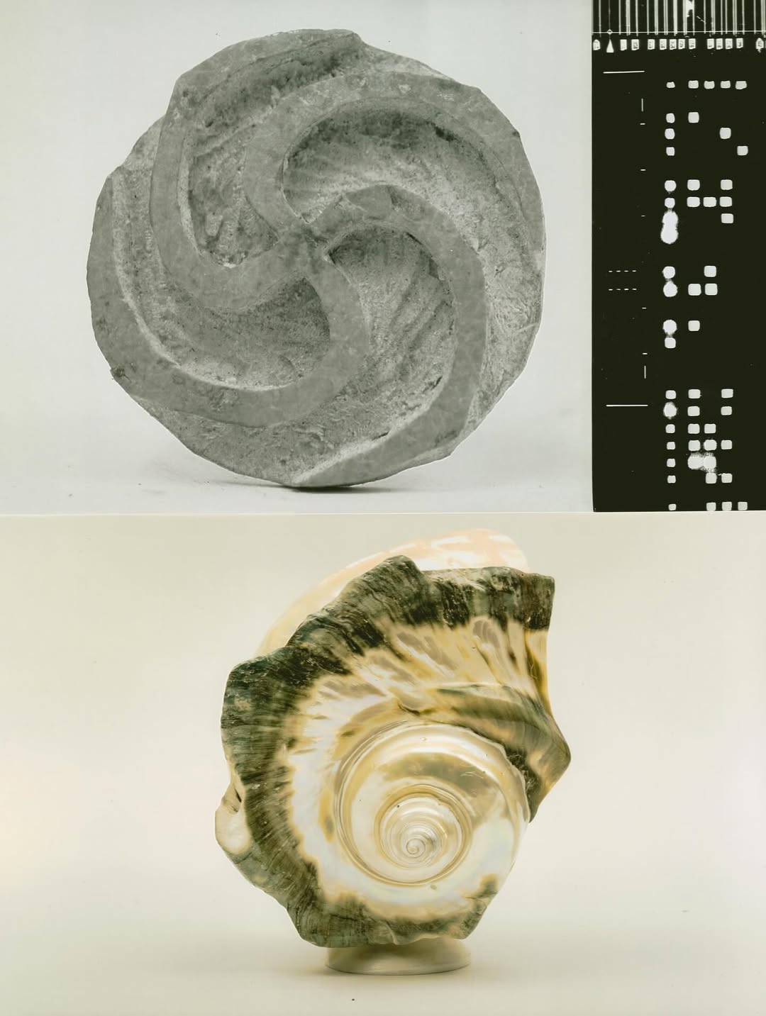 @olivia.wunsche – “Field Notes from Altered Realities” x @acidsurfing