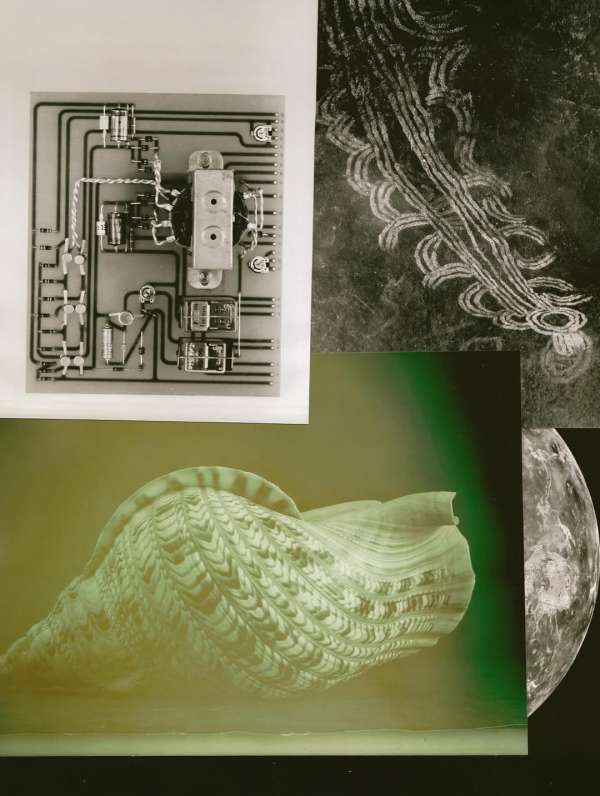 @olivia.wunsche – “Field Notes from Altered...