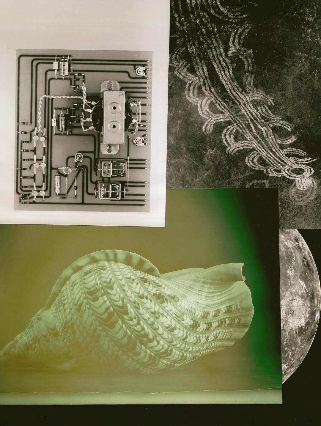 @olivia.wunsche – “Field Notes from Altered Realities” x @acidsurfing