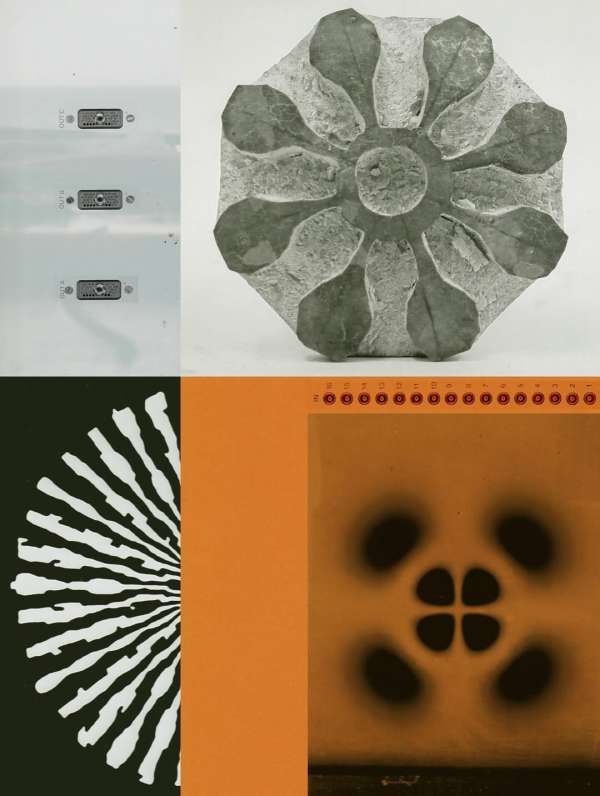 @olivia.wunsche – “Field Notes from Altered...