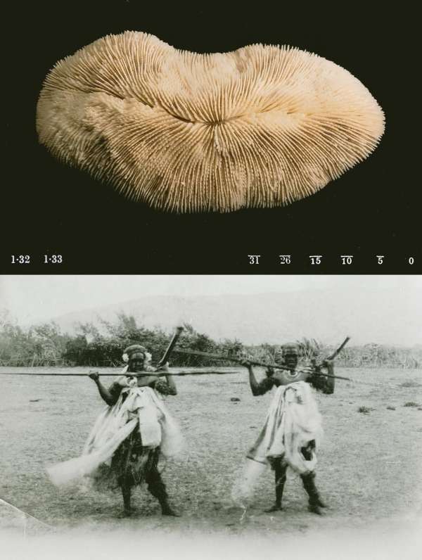 @olivia.wunsche – “Field Notes from Altered...