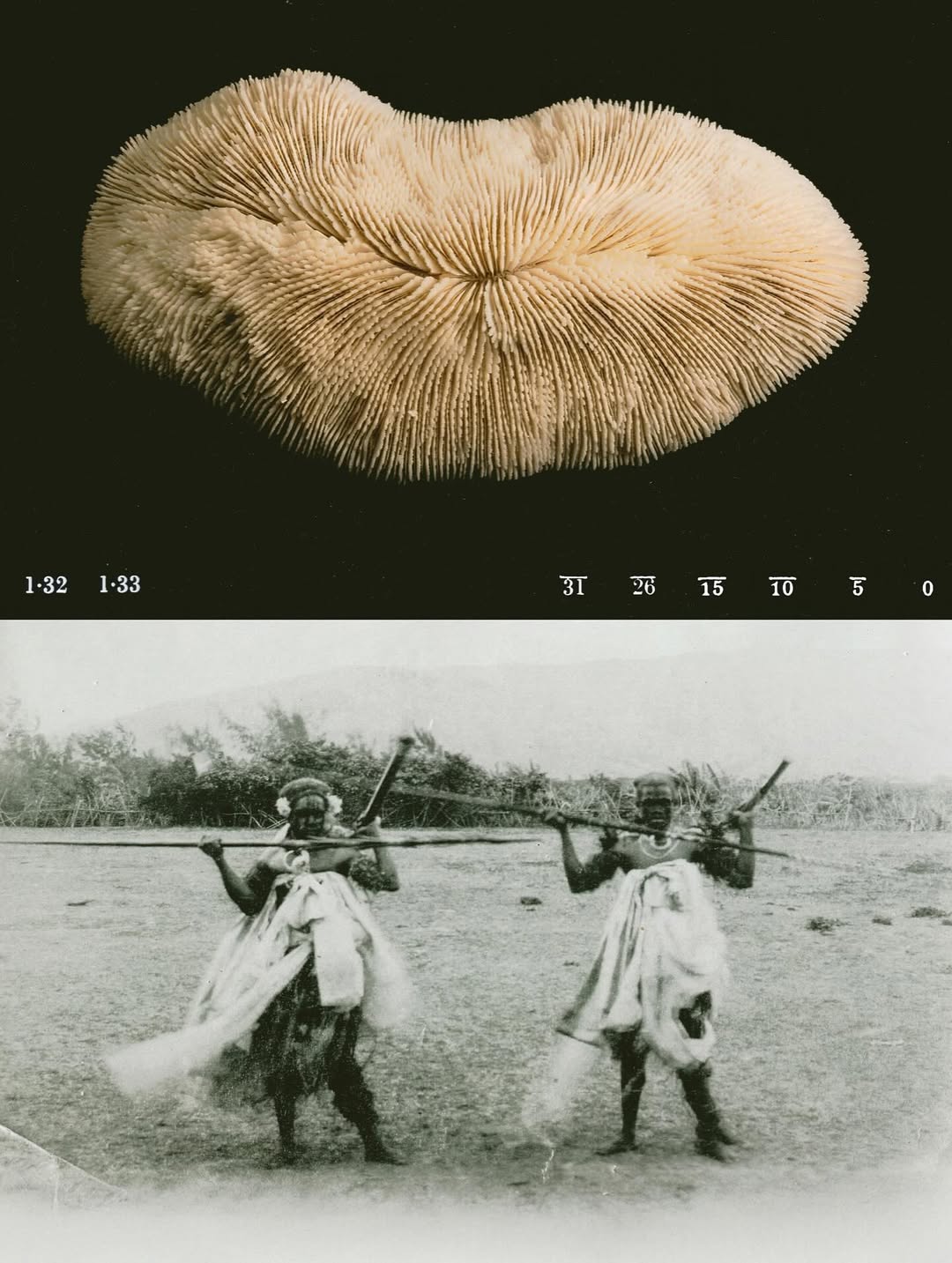 @olivia.wunsche – “Field Notes from Altered Realities” x @acidsurfing