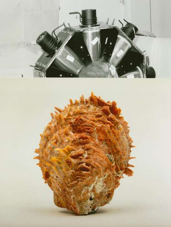 @olivia.wunsche – “Field Notes from Altered...