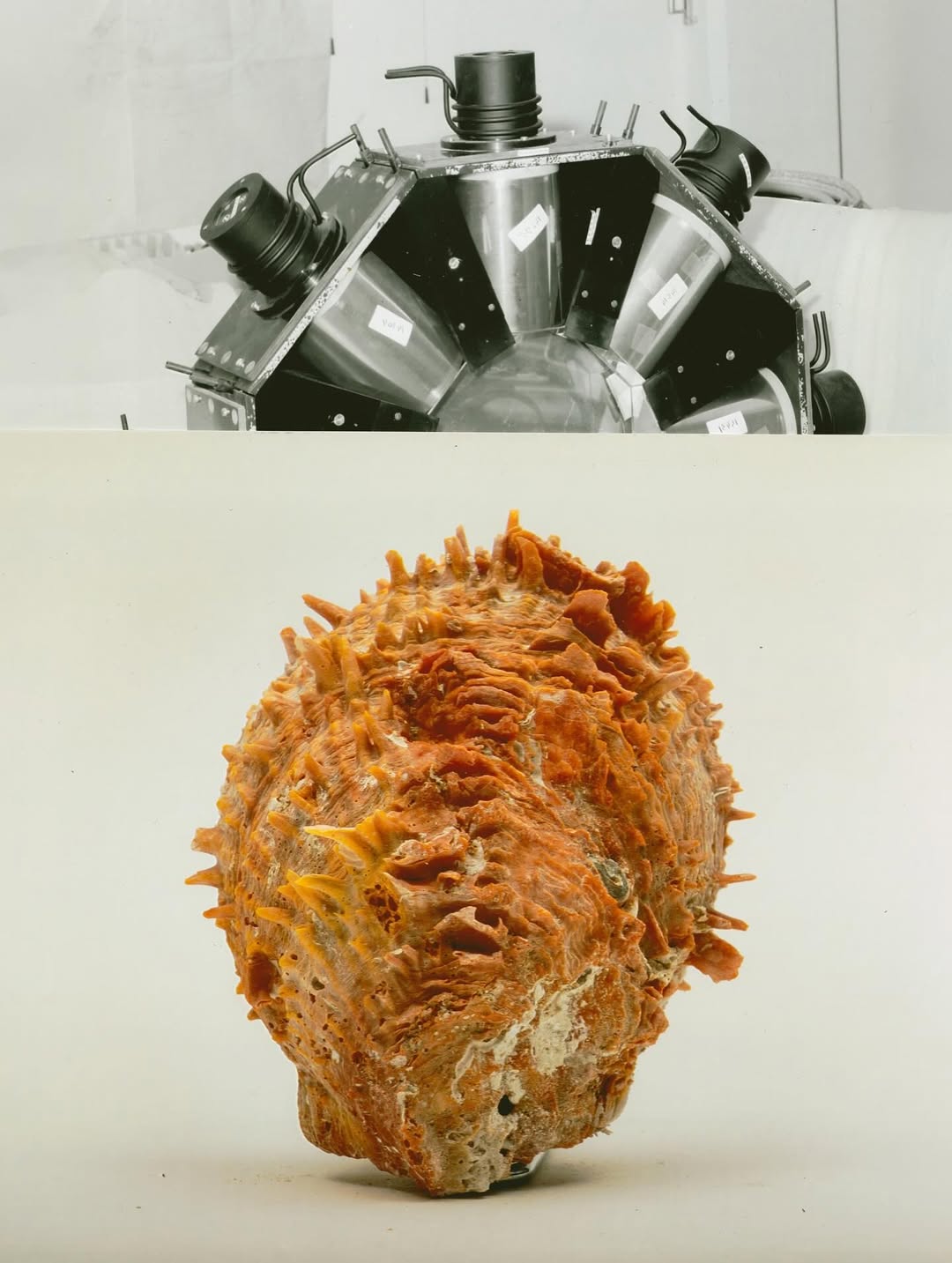 @olivia.wunsche – “Field Notes from Altered Realities” x @acidsurfing