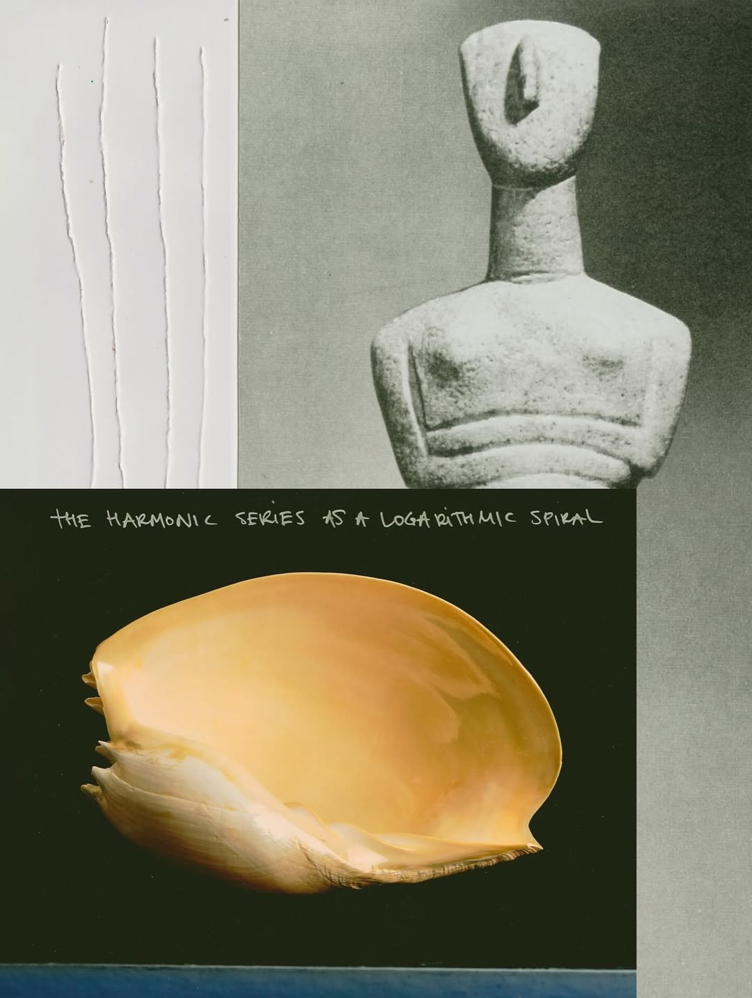 @olivia.wunsche – “Field Notes from Altered Realities” x @acidsurfing