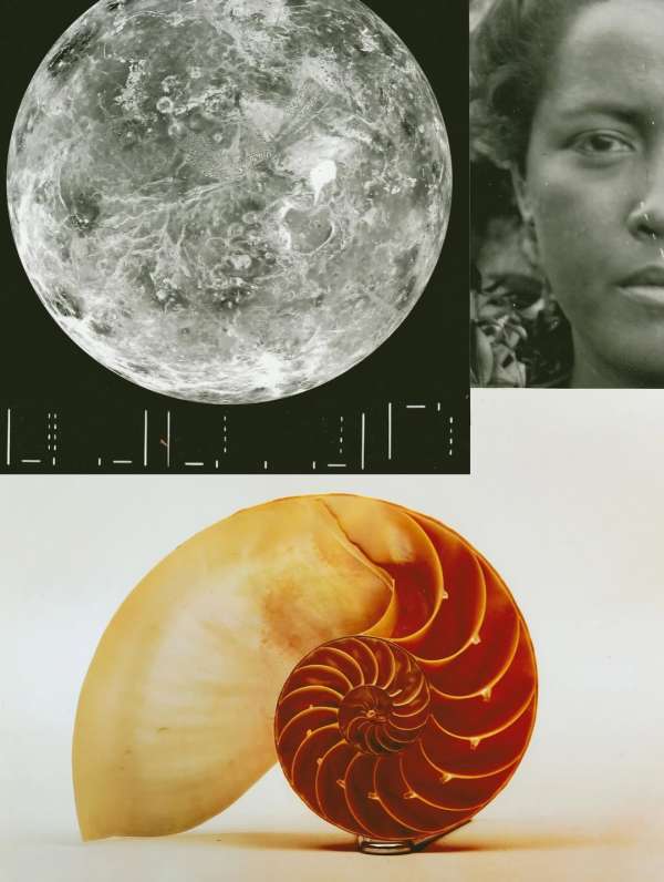 @olivia.wunsche – “Field Notes from Altered...