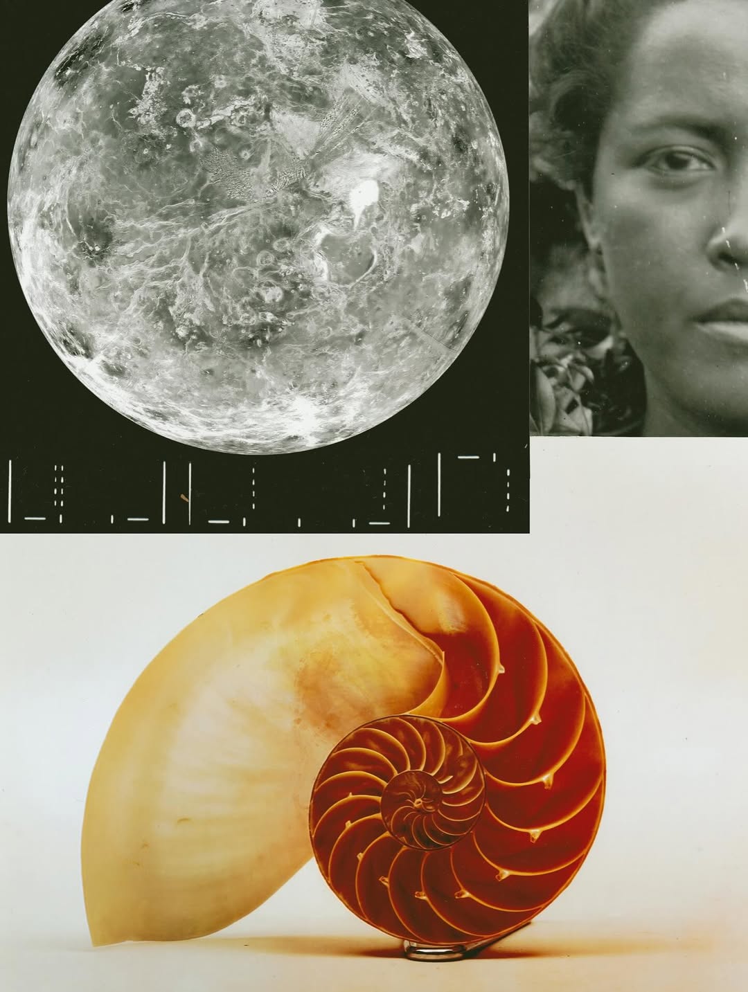 @olivia.wunsche – “Field Notes from Altered Realities” x @acidsurfing