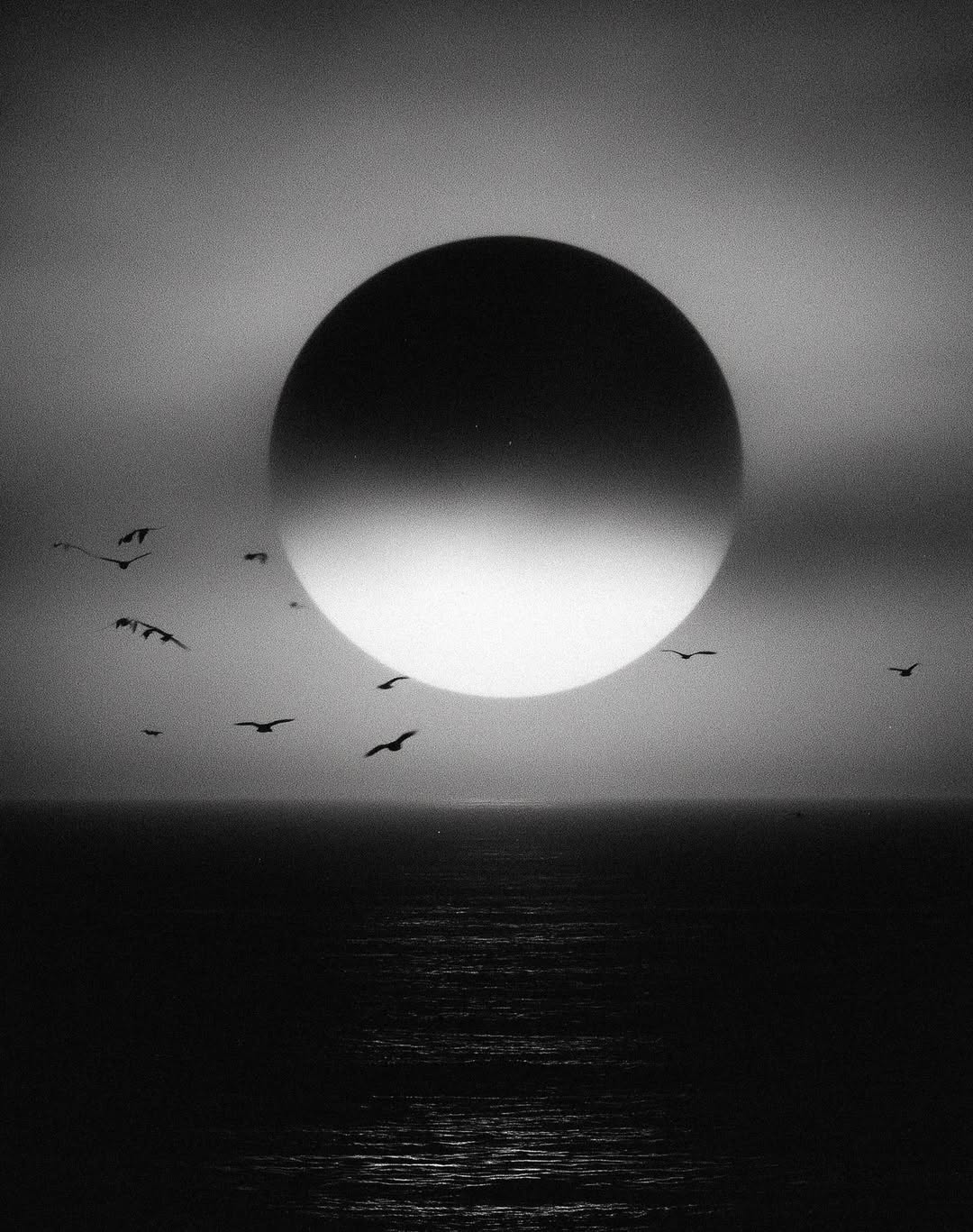 Inside @yzavoku ‘s surreal world