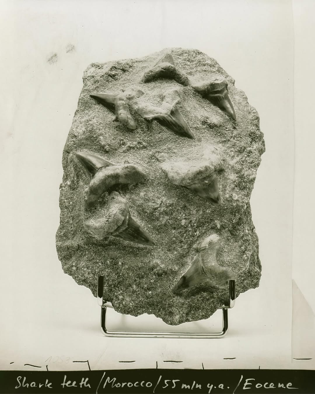 “Fathoming deep time is arguably geology’s sin...