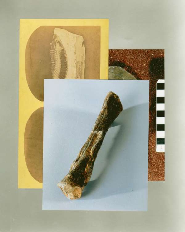 “Fathoming deep time is arguably geology’s ...