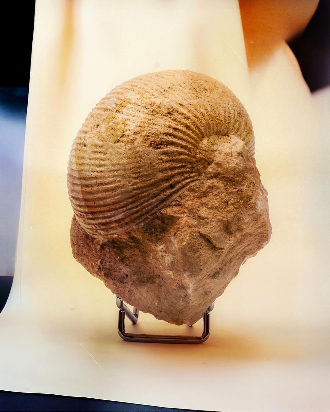 “Fathoming deep time is arguably geology’s sin...